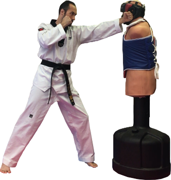 Strikes 치기 — North Battleford Taekwondo Academy