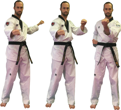 Blocking Techniques 막기 기술 — North Battleford Taekwondo Academy