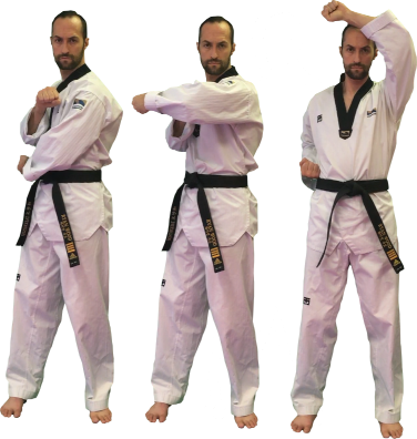 Blocking Techniques 막기 기술 — Taekwondo Compendium 태권도 개론