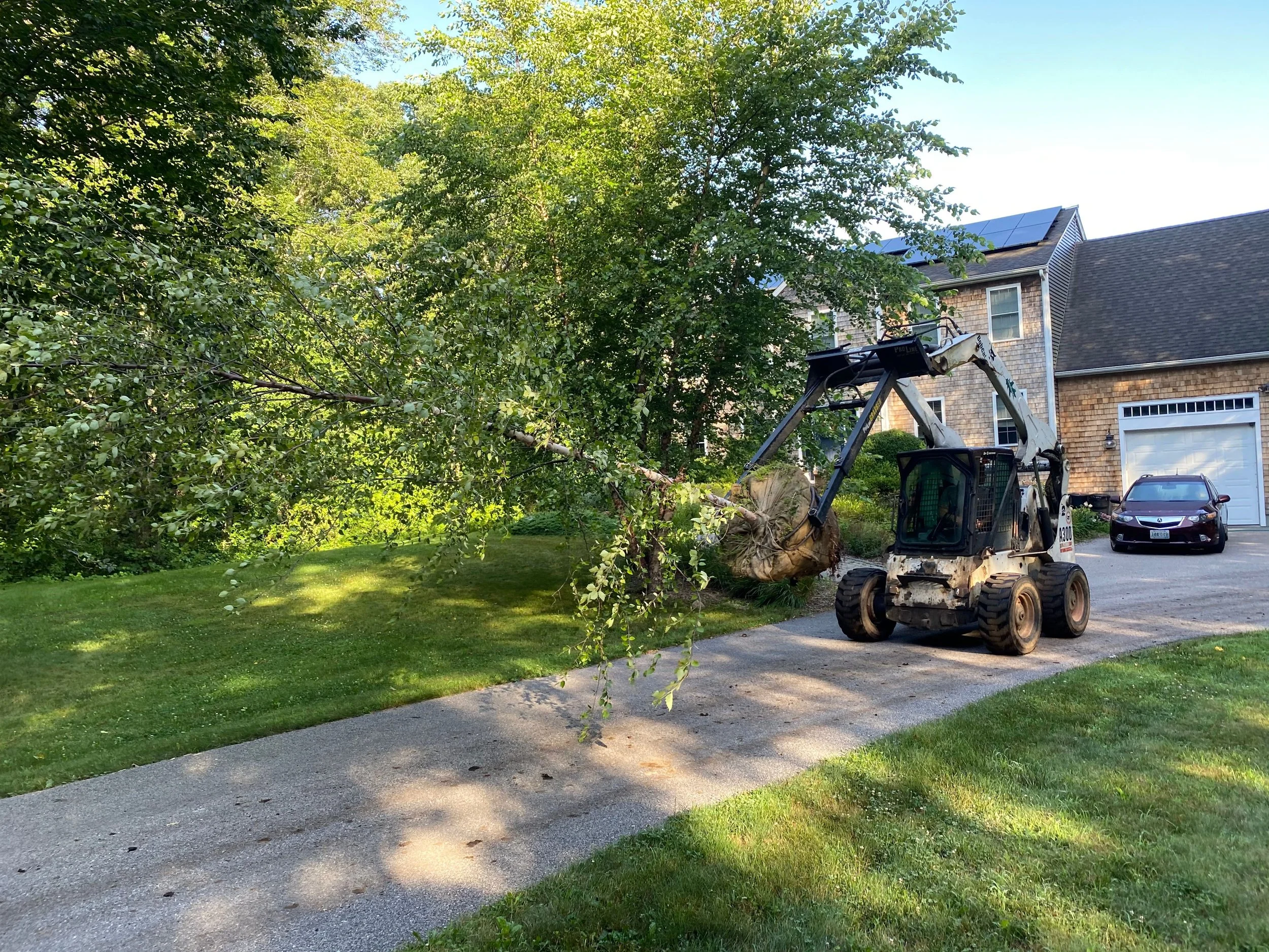 Front Yard Plantings and Landscape Design Solutions in the East Greenwich, RI Area