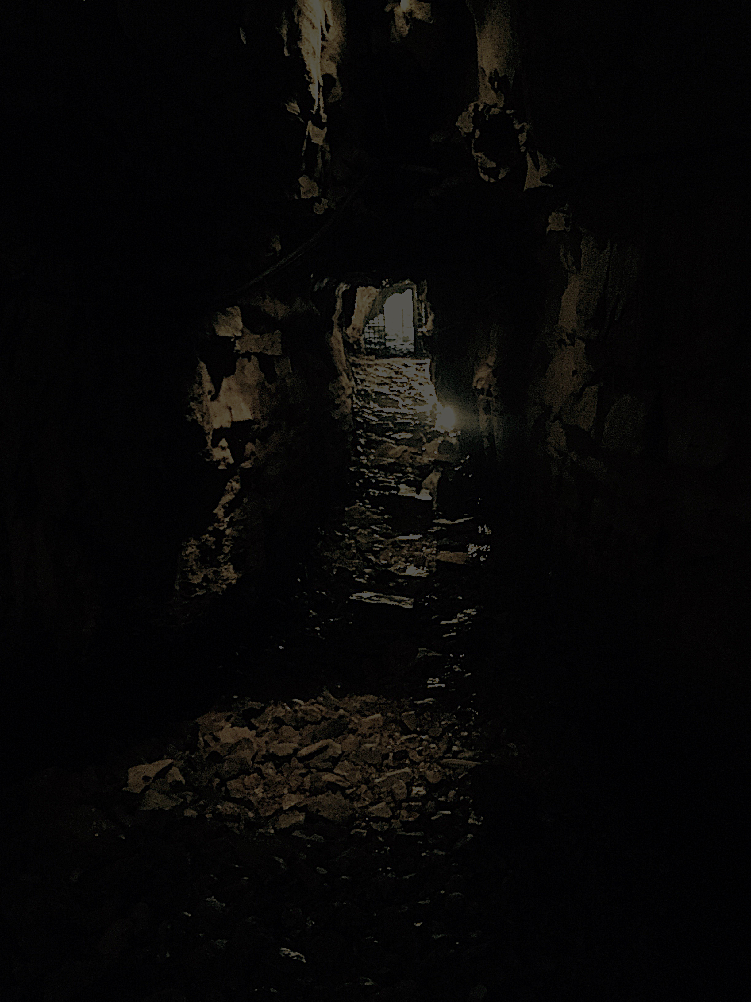 IMG_3517_dark.jpg