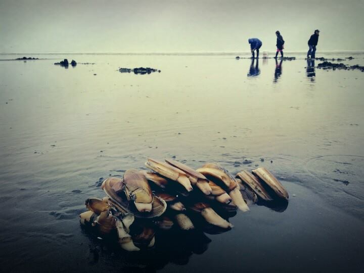 Men's Retreat Ocean Shores