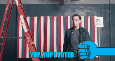 I voted.gif