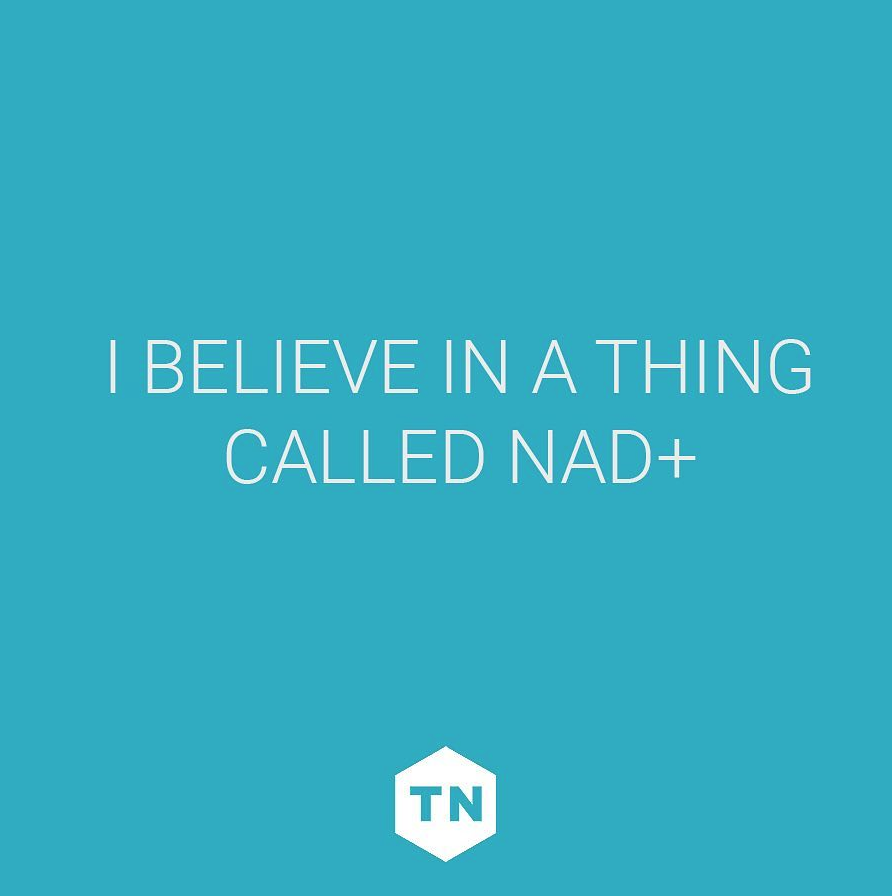 Screen Shot 2018-08-06 at 5.03.52 PM.png