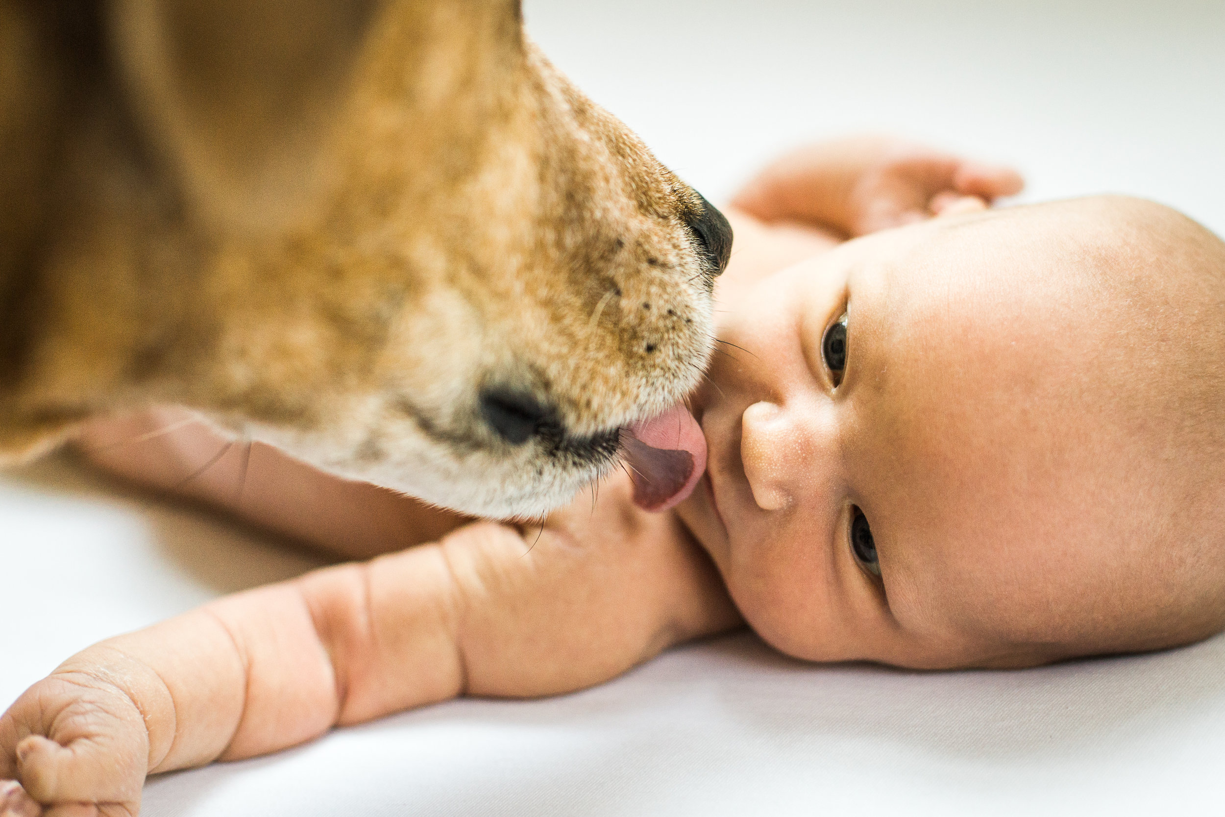 Central-Ohio-Lifestyle-Newborn-Photographer-09.jpg