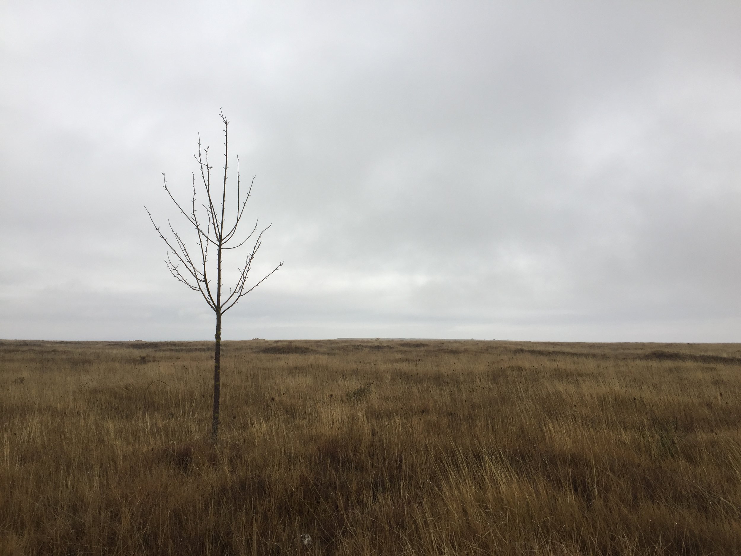 Even when desolate and grey, the scenery was beautiful.