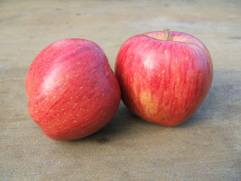 Organic Granny Smith Apples, 1 lb, Devoto Gardens