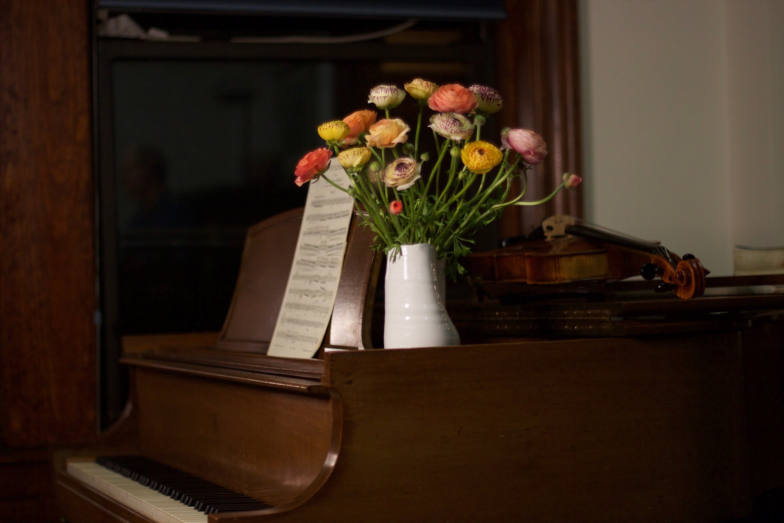 Philosophie Floral Ranunculus Piano 