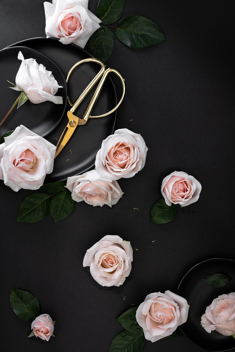 rose-flatlay-jesica-kurashima-seattle-prop-stylist.jpg