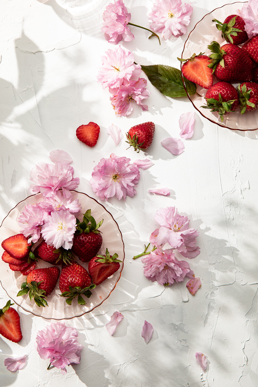 strawberries-and-cherry-blossoms.jpg