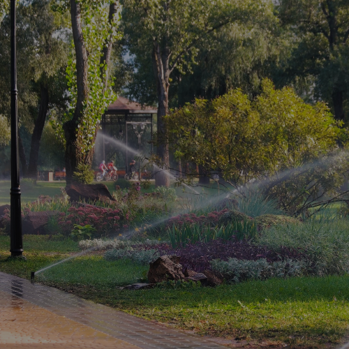 Lawn Sprinkler Contractors