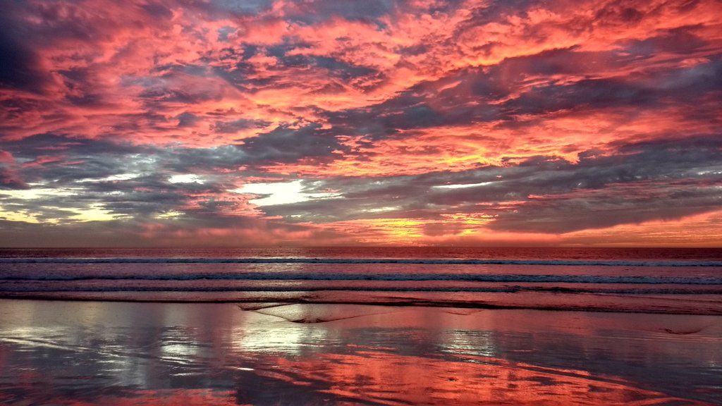 Copy of Carlsbad, Ca, yoga retreat, Torry Pines, Hiking, Yoga, San Diego, Southern California Yoga Retreat