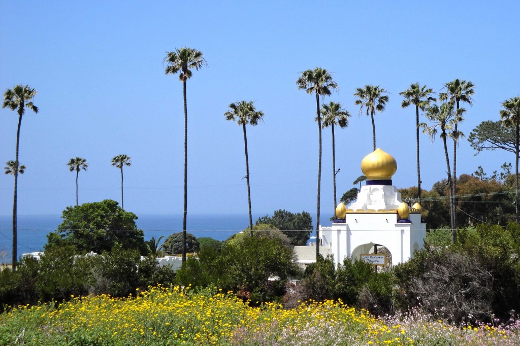 Copy of Carlsbad, Ca, yoga retreat, Torry Pines, Hiking, Yoga, San Diego, Southern California Yoga Retreat