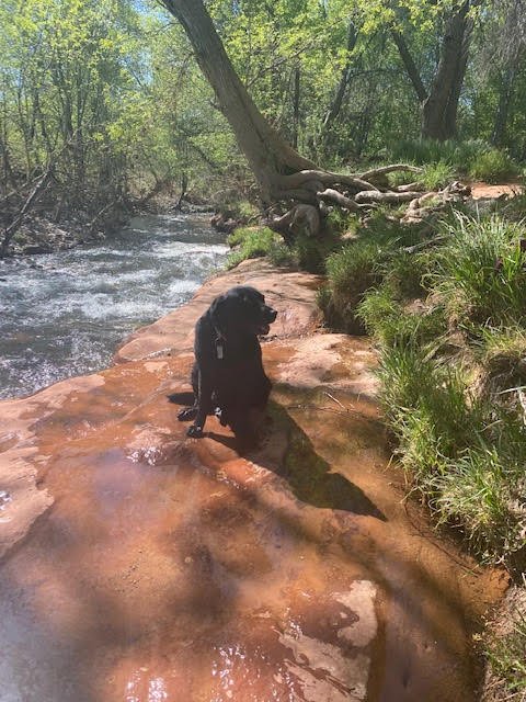 sedona8.jpg