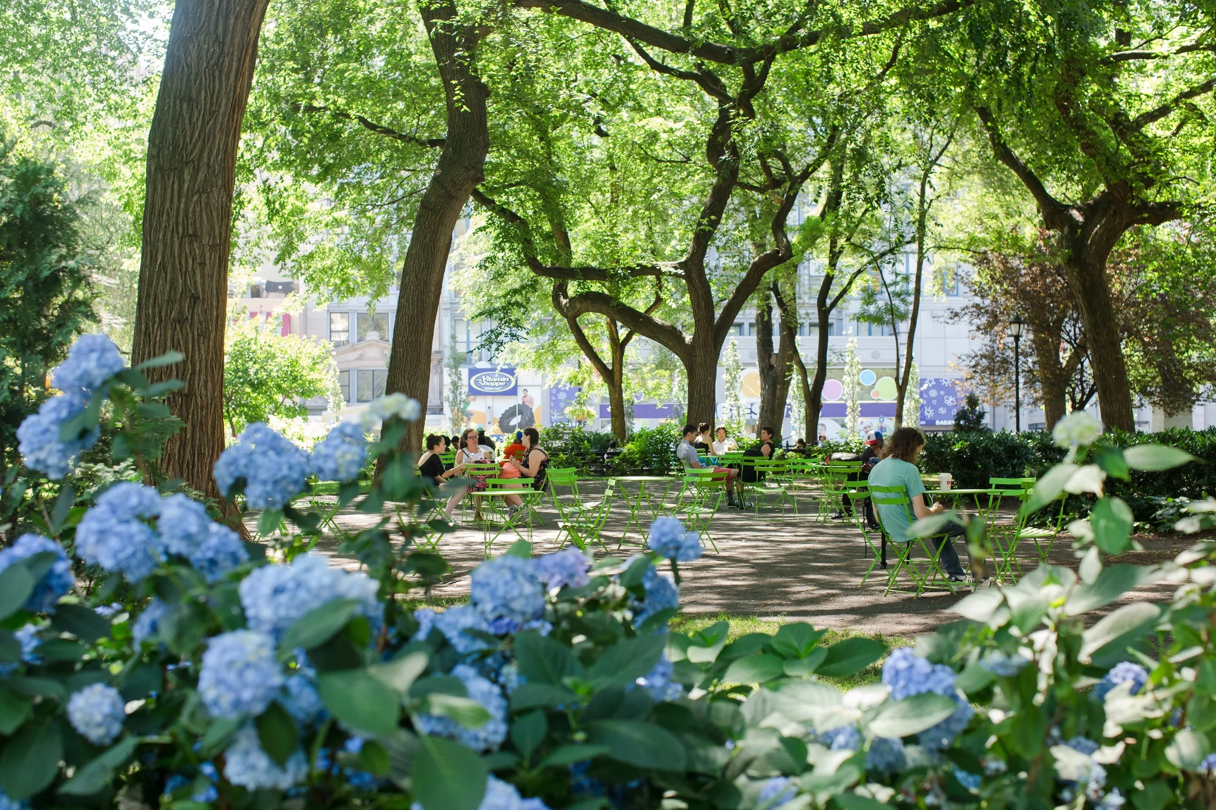 union-square-partnership_liz-ligon-2.jpg
