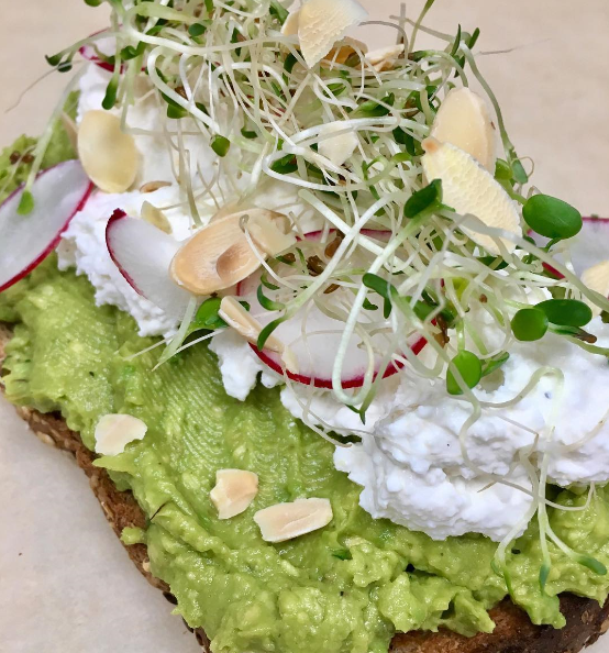 fat-cat-avocado-toast.png