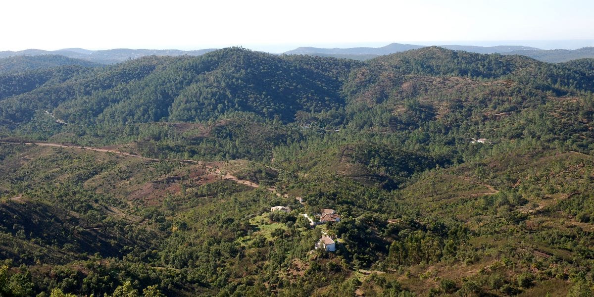 2-Wild-View-Retreat-from-North-mountain-1-1.jpg