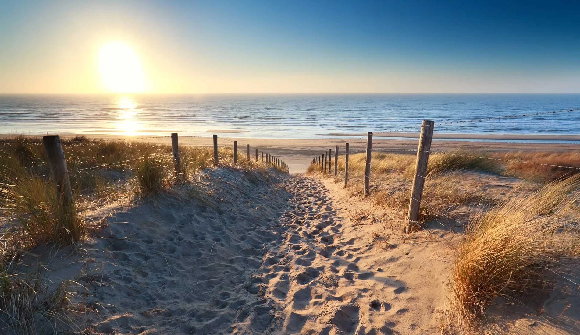 cid41168_fullimage_Zeeland-strand.jpg