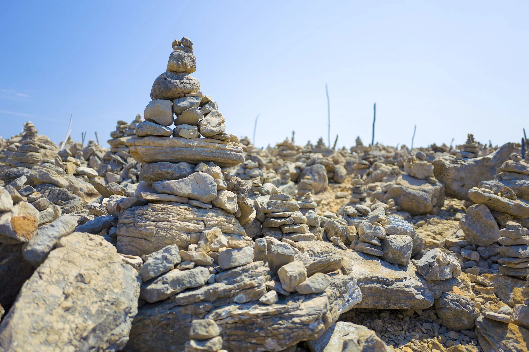 Victims of Executions