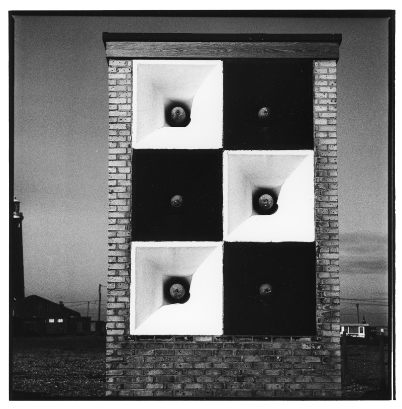 dungenessloud034 copy.png