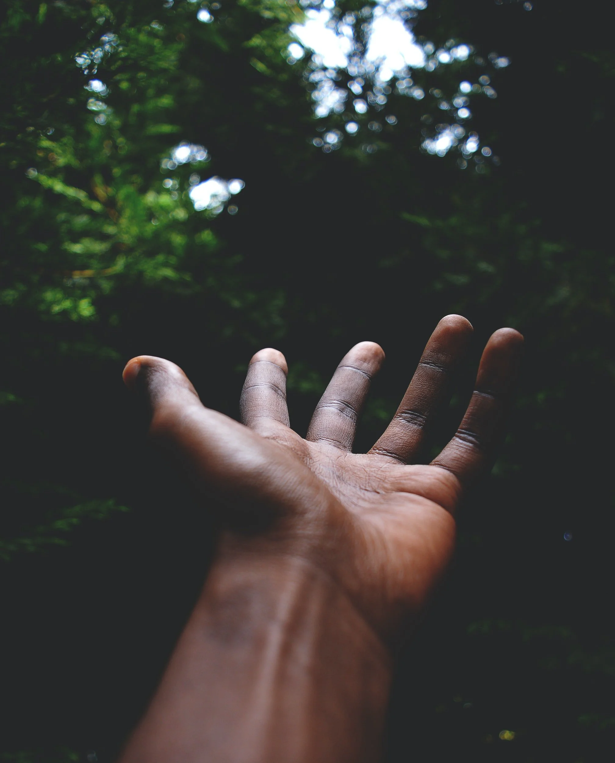 Close up photo of hand reaching out, background includes trees and sky.