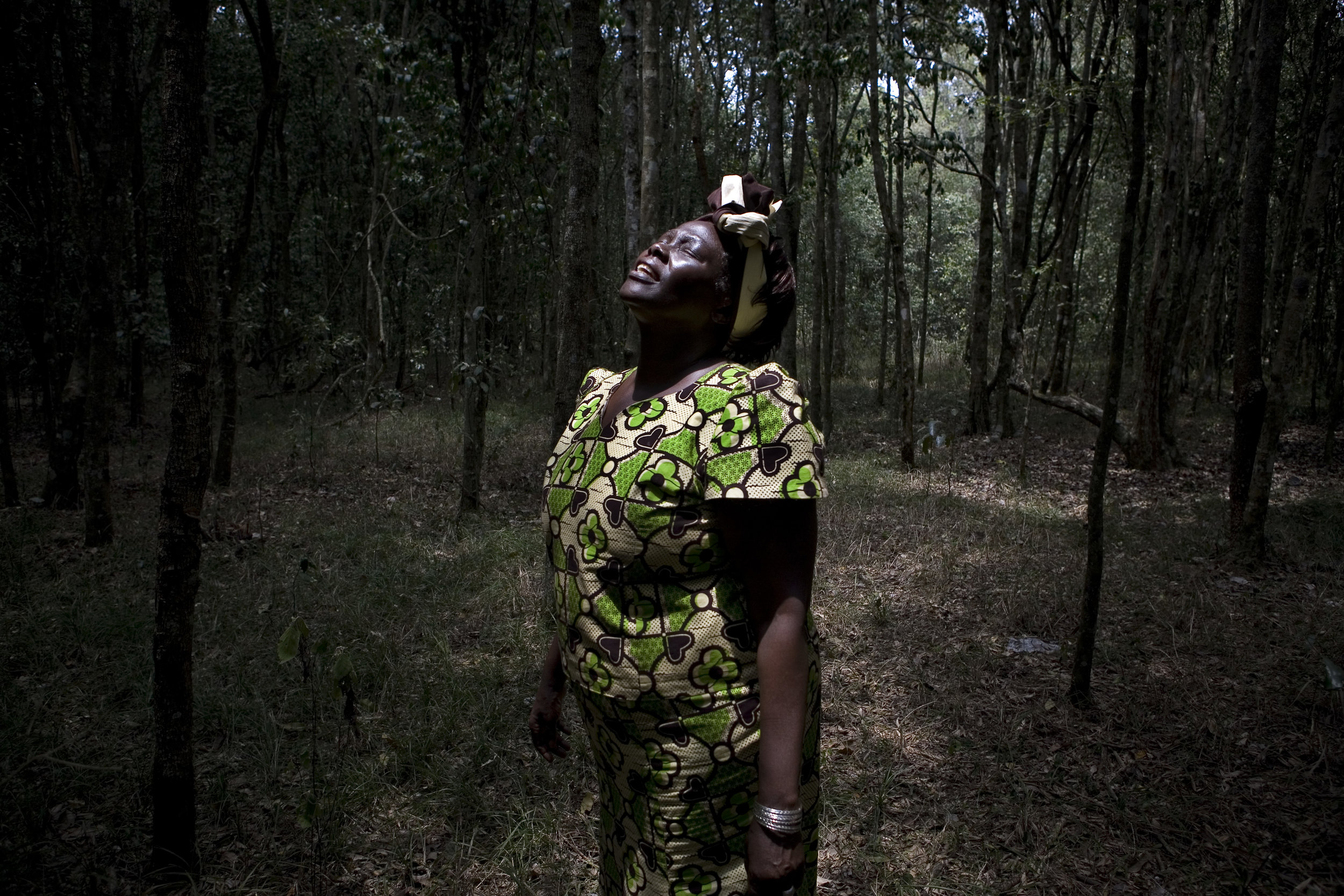 Nobel peace price winner Wangari Maathai, the first African woman and environmentalist to win the prize, in Karura Forest, Kenya.