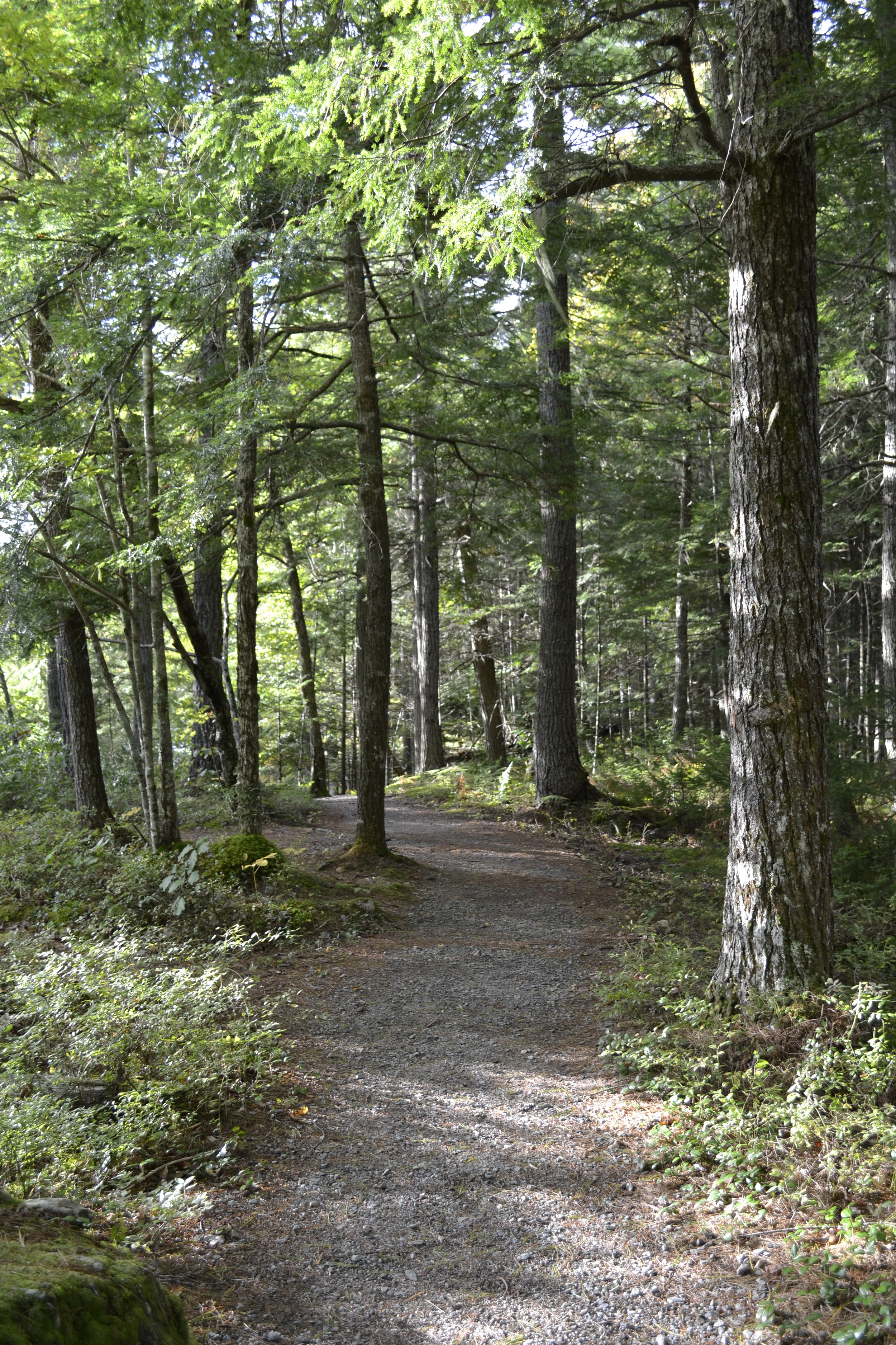 Trail and Road Layout