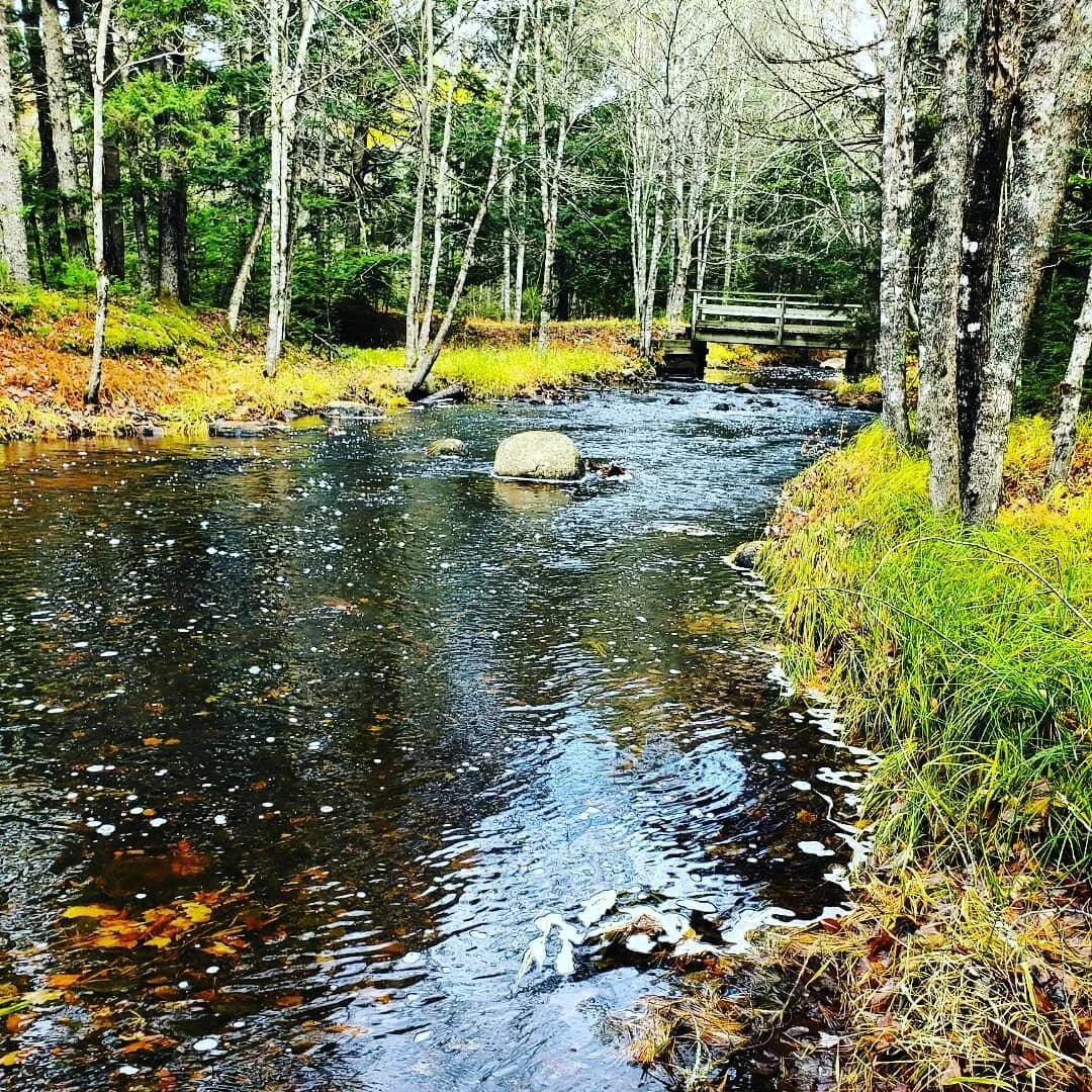 Riparian Areas — Western Woodlot Services Cooperative