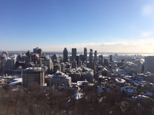 View from Mont Royal. Nothing like a hike up a small mountain in 0 degree weather.