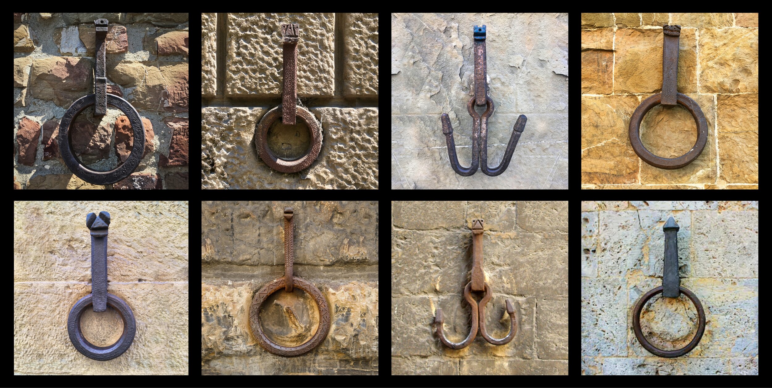 HorseRingsCombo 19x9.5.jpg