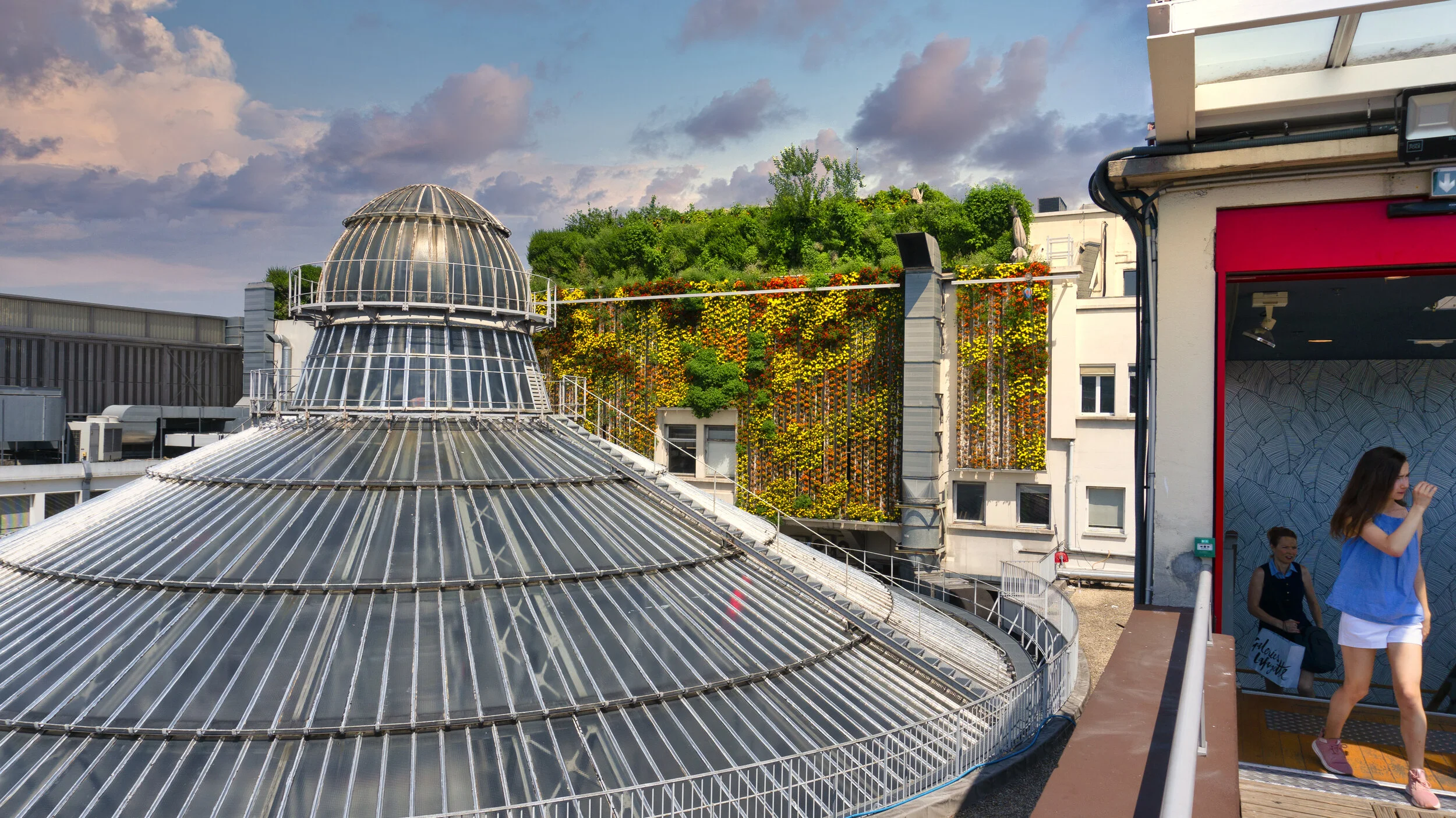 RoofTop.GreenWall.jpg