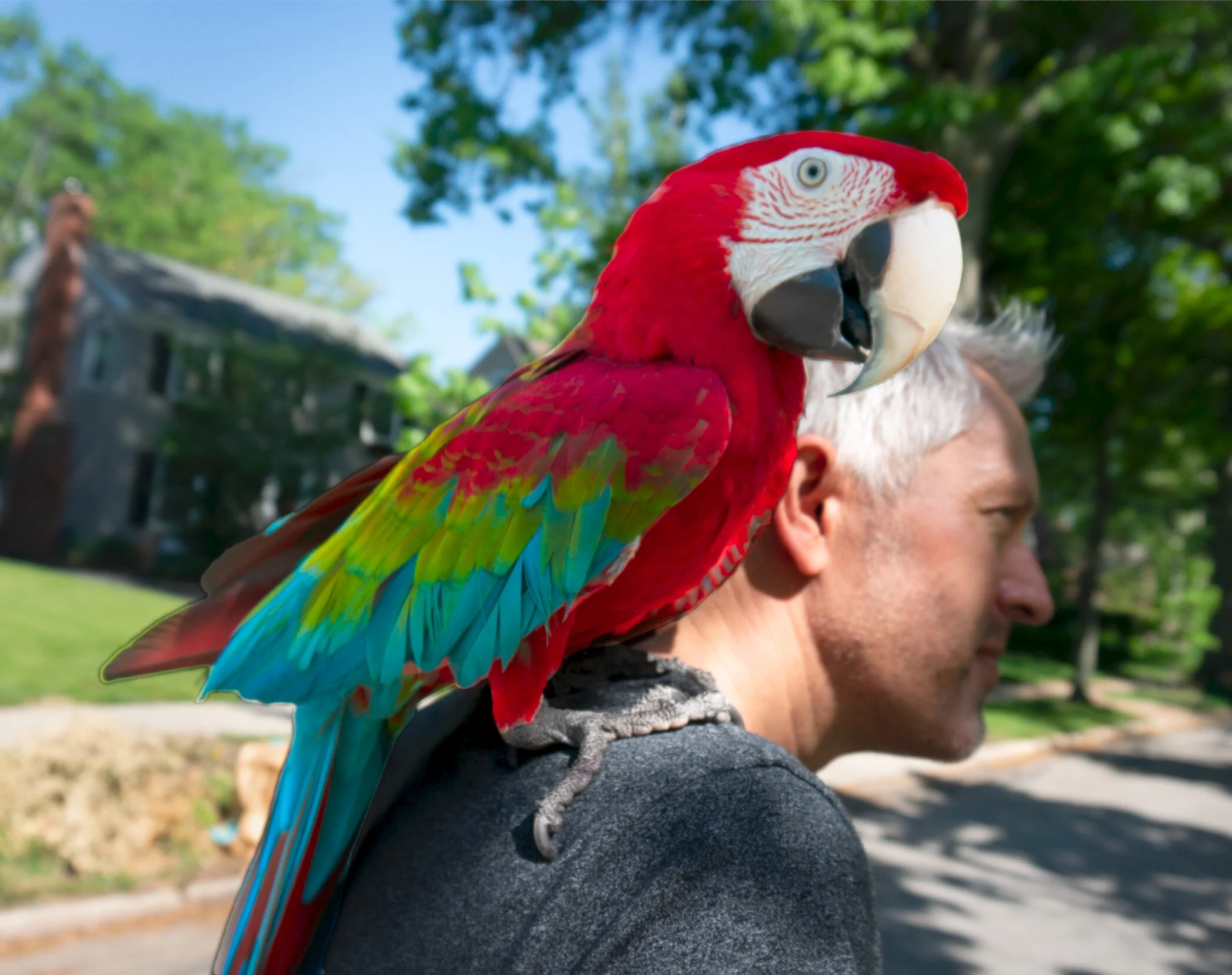 Freek&Parrot.jpg
