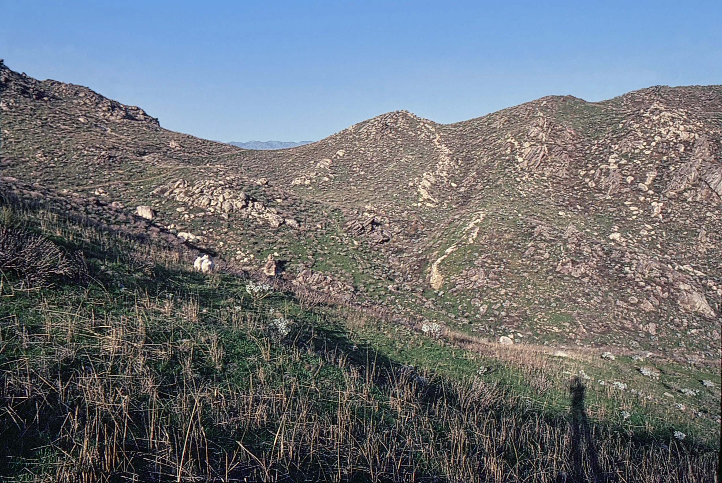 RiverSide02SouthernCA1989.jpg