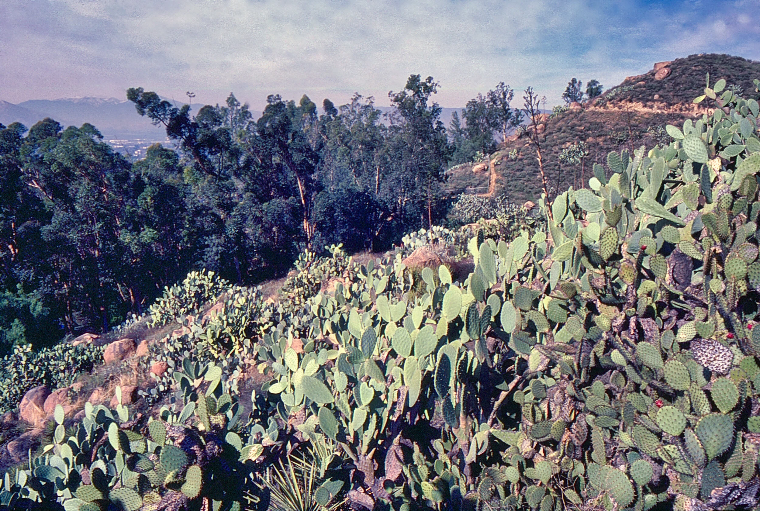 RiverSide01SouthernCA1989.jpg