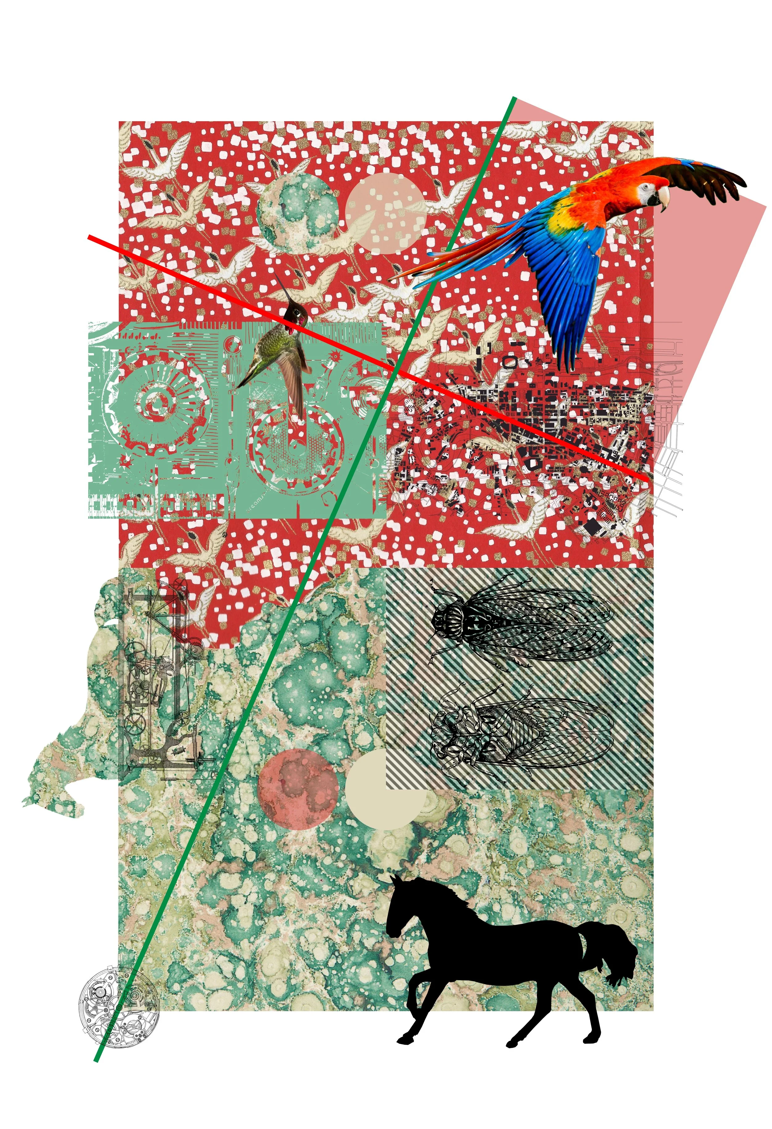 Collage01a.jpg