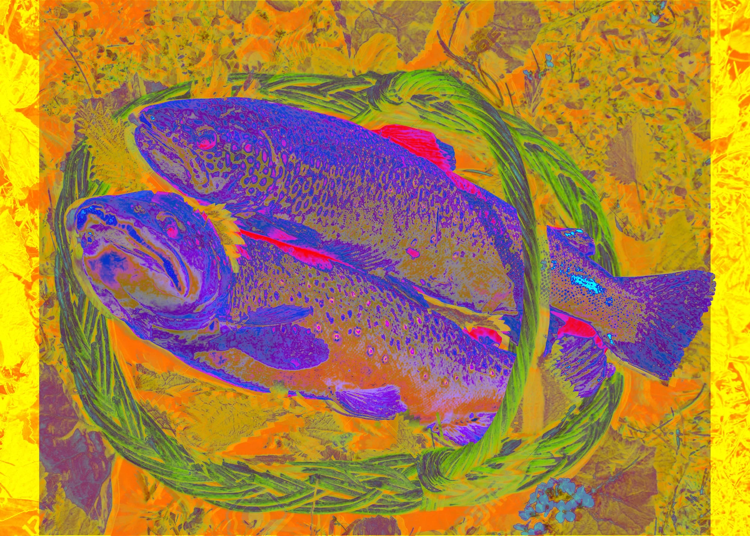 Trout03.jpg