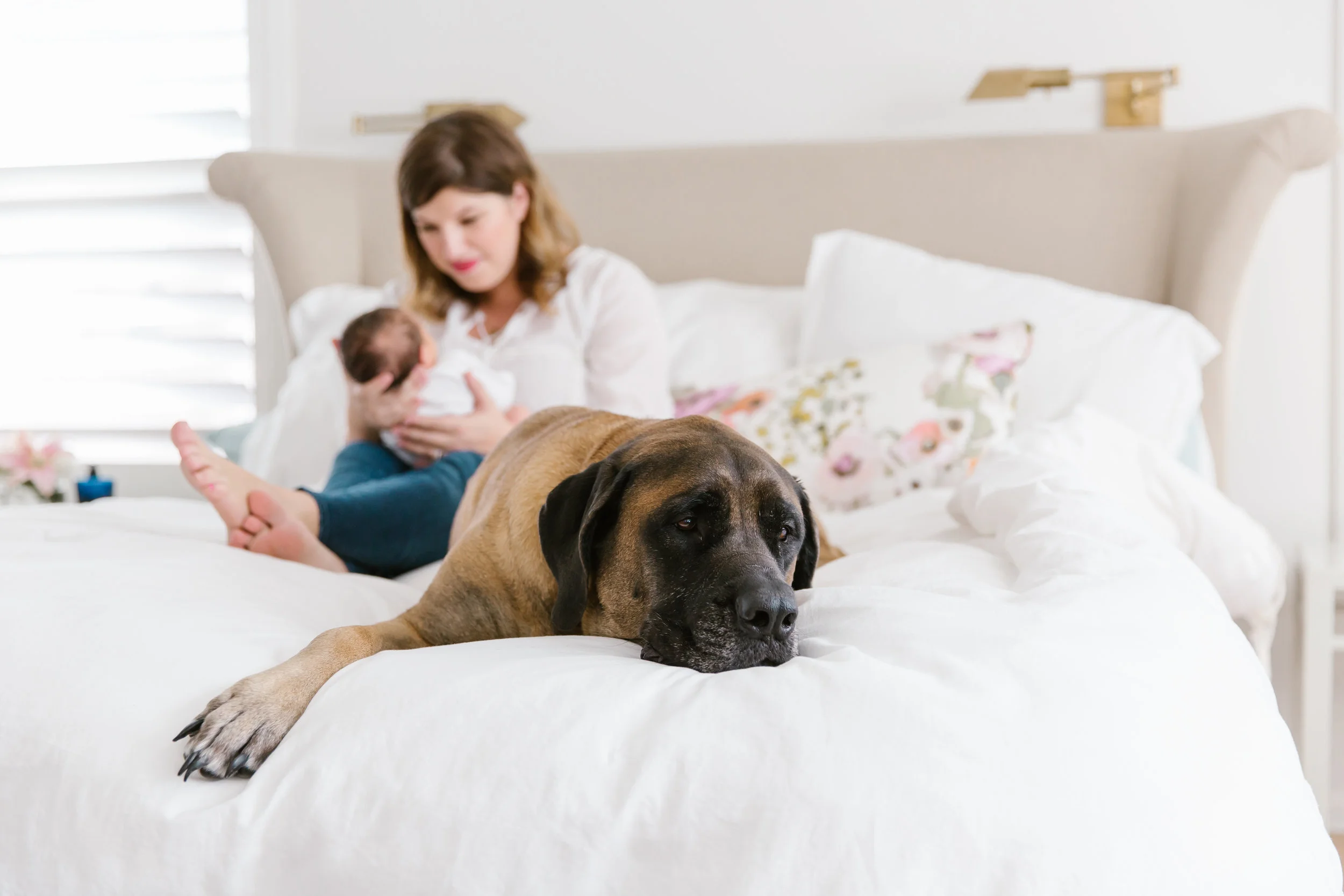san-antonio-lifestyle-photographer-in-home-session-newborn-session-san-antonio-photographer-pets-dog-with-baby