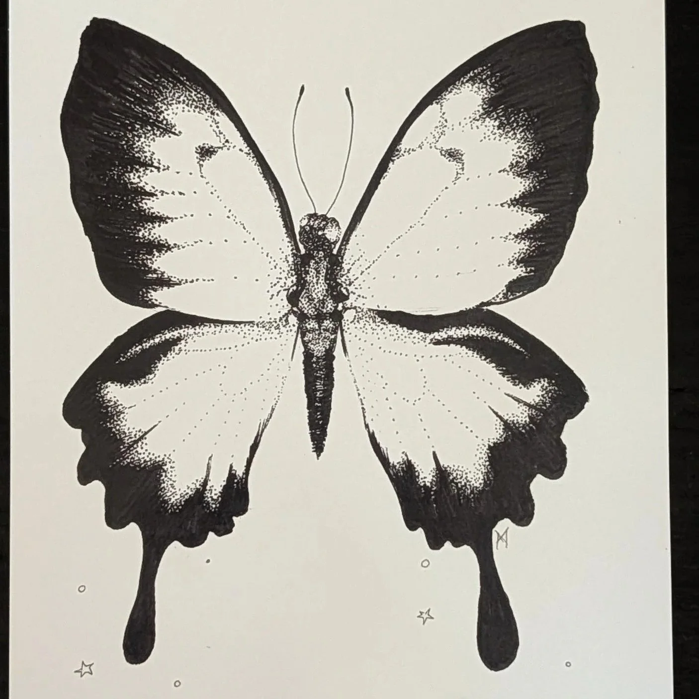 Midnight Papillon