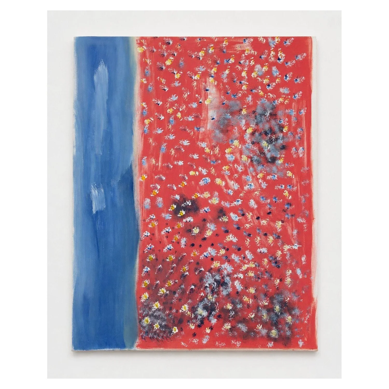 14-frederico-mendes-coral-62x44-in.jpg