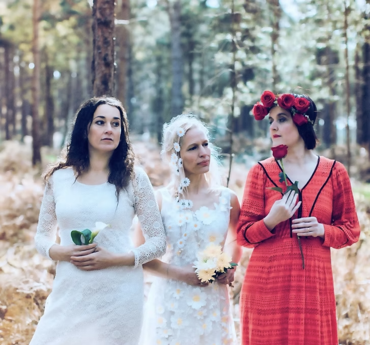 Screenshot 2026-02-04 at 00.22.34.png