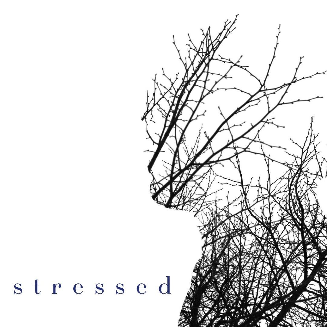 STRESSED// ZOE Network

Life is stressful! And as disciples of Christ, we daily face the temptation to navigate life independently. We try to handle the challenges, stresses, relationships, and uncertainties without staying connected to our ultimate 