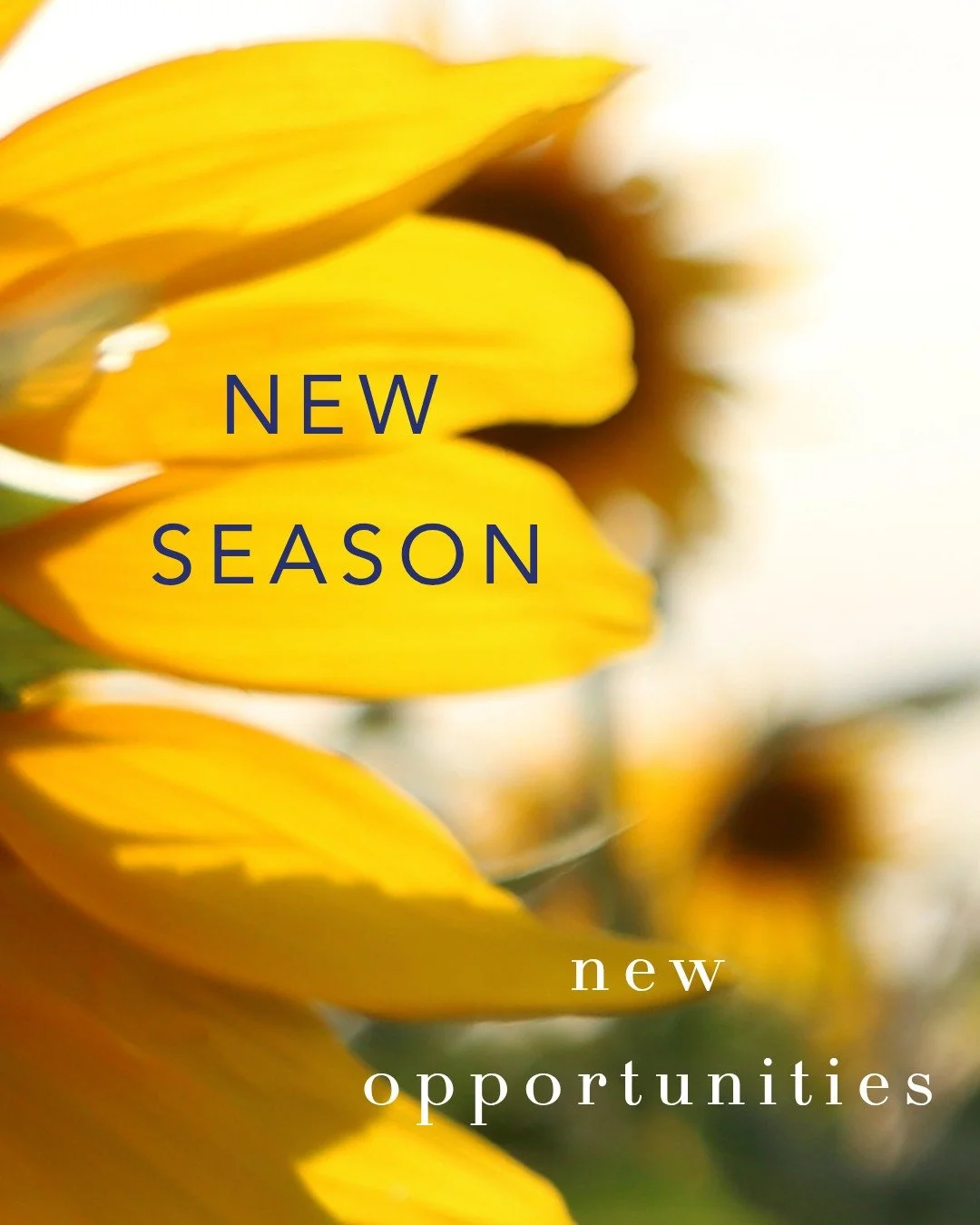 LEADERS//

As summer winds down and a new ministry year begins, now is the perfect time to refocus, re-imagine, and retool as you disciple the people around you. 
 
What are you excited about as you plan for the Fall? What is God saying? Are there ar