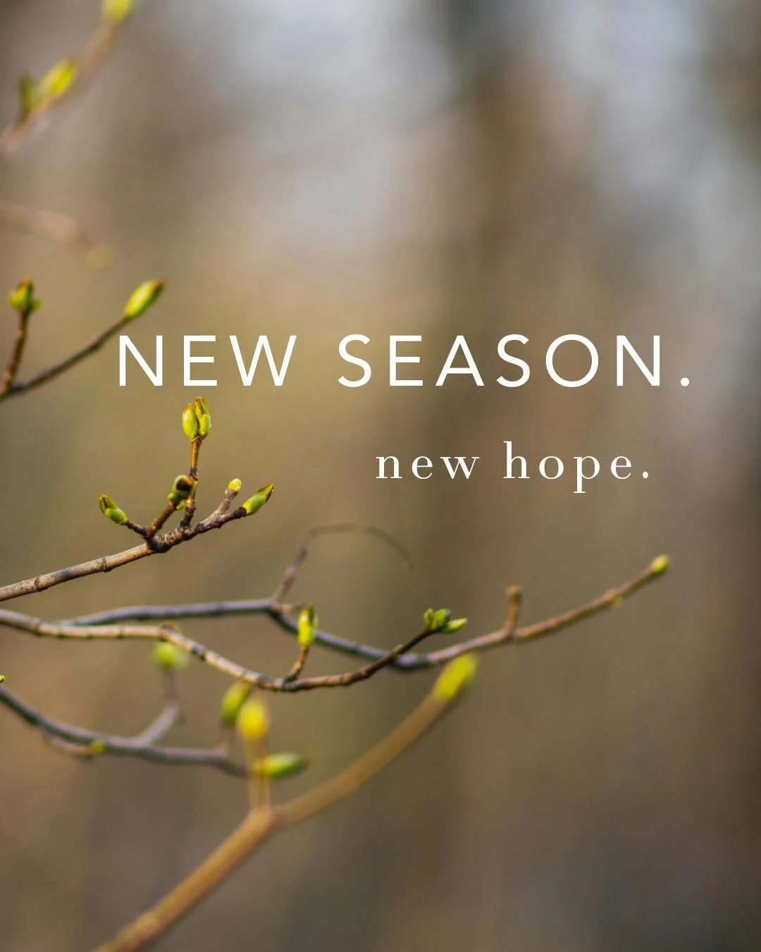New Season. New Hope //ZOE Network

One of our ZOE Projects partners with a training centre in Southeast Asia that supports women rescued from human trafficking. 

There, women are given the tools to rebuild their lives - learning vocational skills, 
