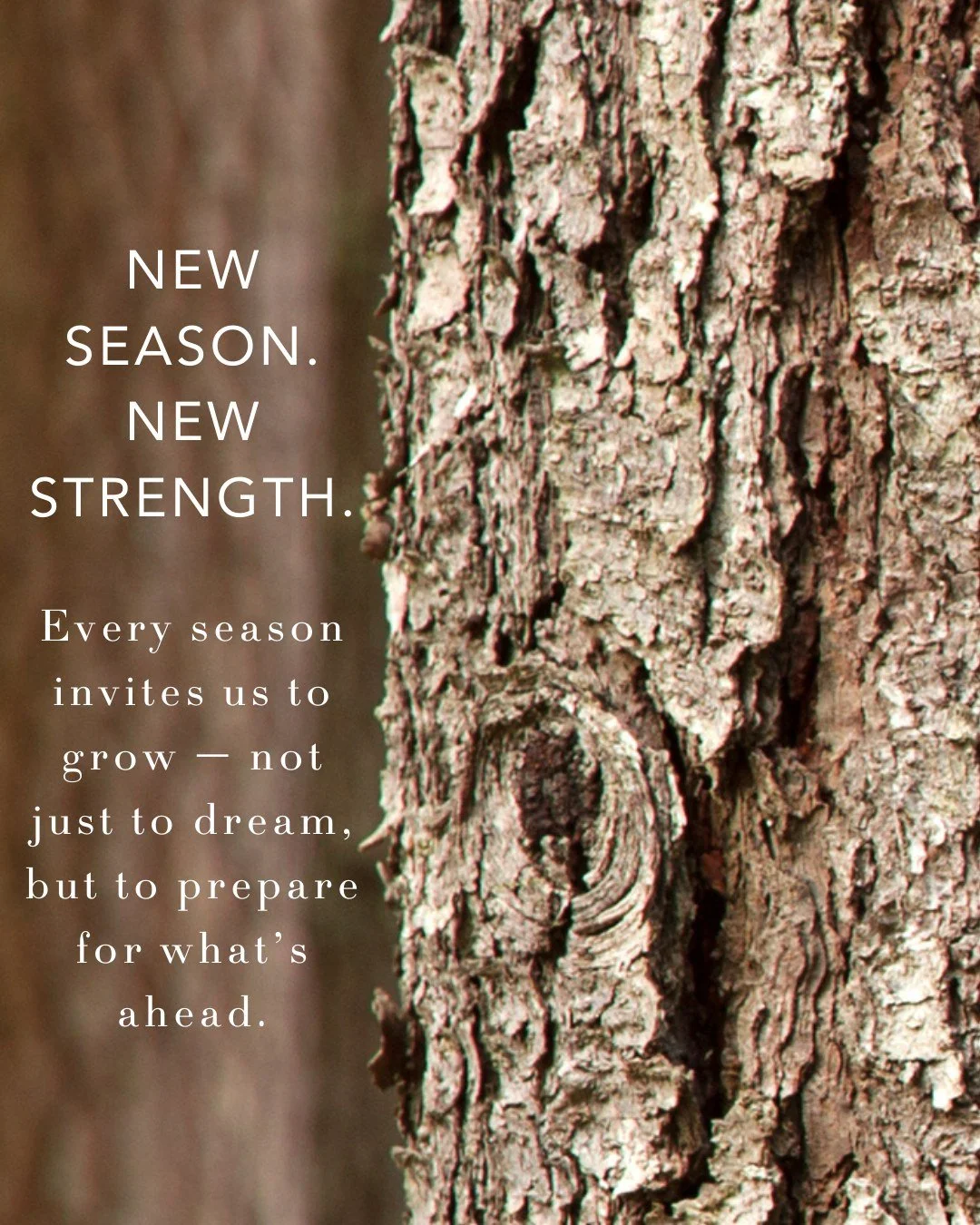 New Season. New Strength //ZOE NETWORK

Every new season invites us to grow &mdash; not just to dream new dreams, but to prepare for what&rsquo;s ahead.

So, what&rsquo;s ahead for you in this season?
Is God inviting you to step into leadership?
To s
