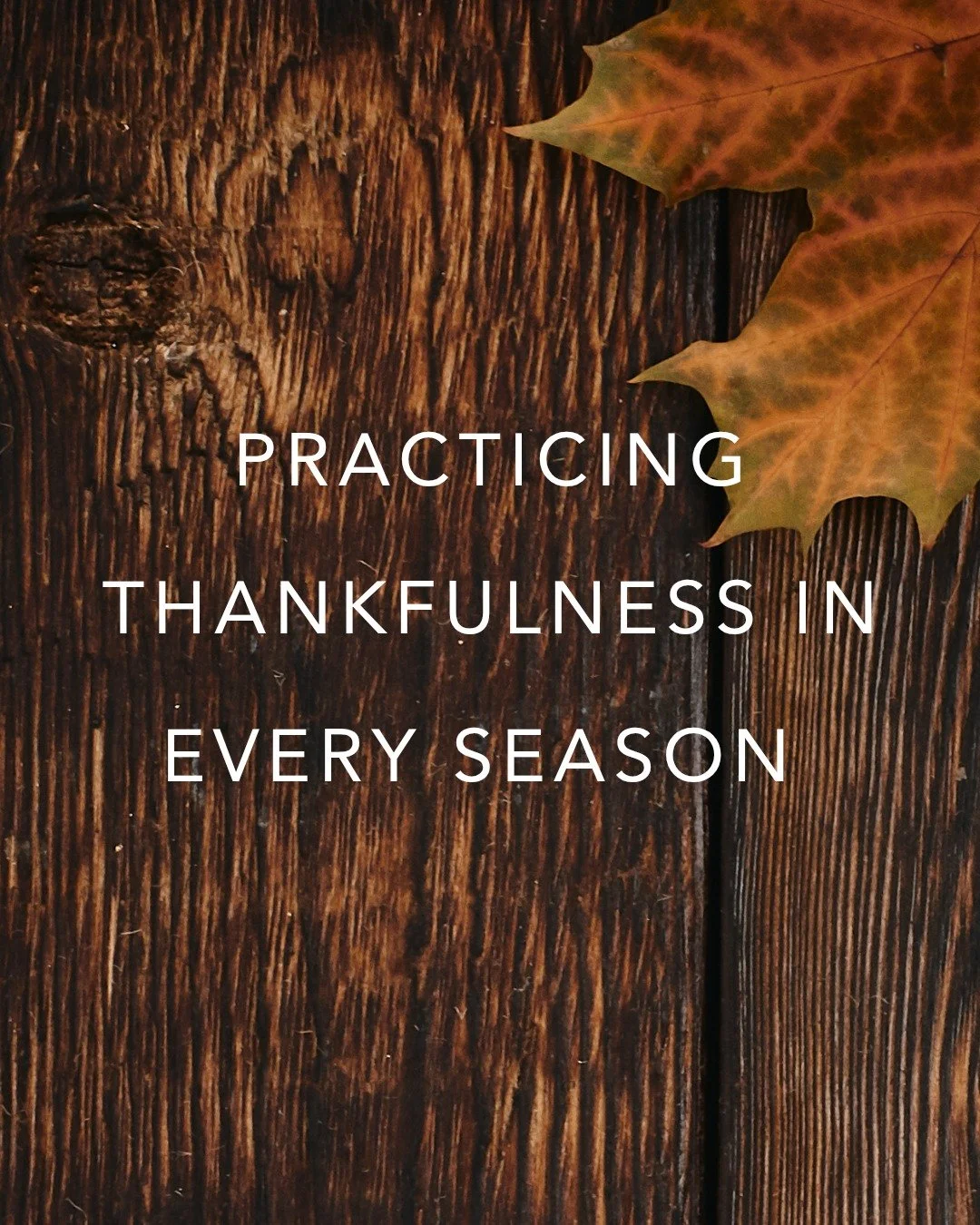 HAPPY THANKSGIVING// Practicing Thankfulness in Every Season

Gratitude shifts our perspective.
Not because every season feels good&hellip;
But because God is good in every season.

Whether you&rsquo;re in a season of flourishing or waiting, joy or h