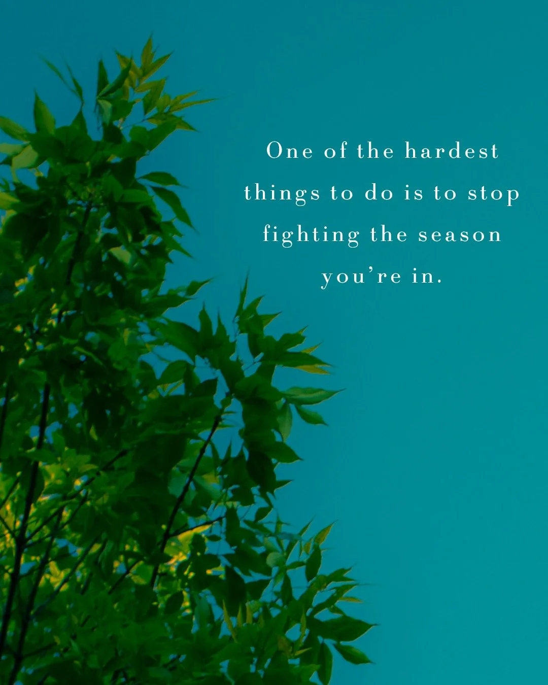 Embrace Your Season//ZOE NETWORK

One of the hardest things to do is to stop fighting the season you&rsquo;re in.

We resist the slow seasons.
We rush the waiting.
We pray away the pruning.
We crave the mountaintops and dread the valleys.

But what i