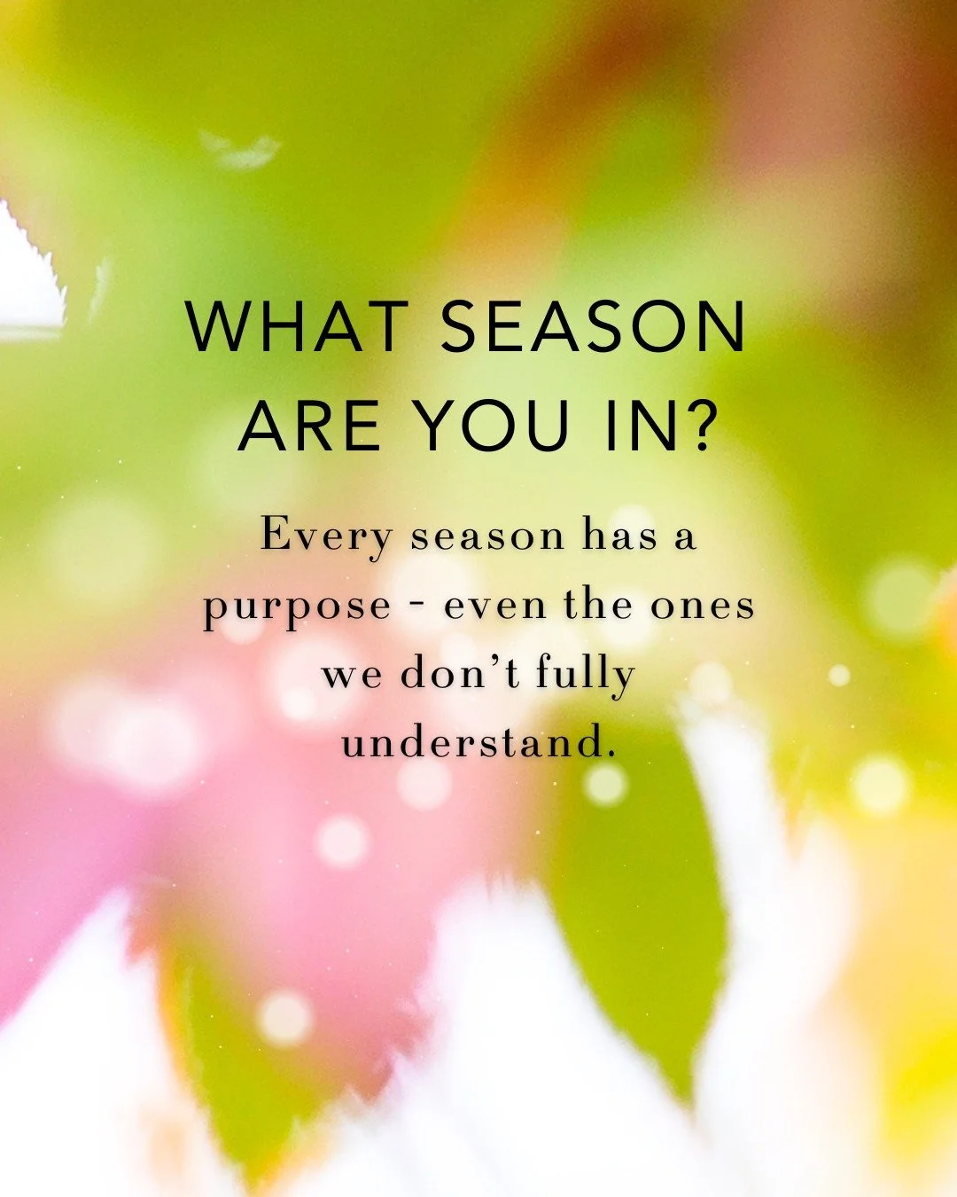 ZOE NETWORK//What Season Are You In? 

Every season has a purpose&mdash;even the ones we don&rsquo;t fully understand.

Here are 3 questions to help you reflect:

1)What is God teaching me in this season?
(Am I learning trust, patience, discipline, j
