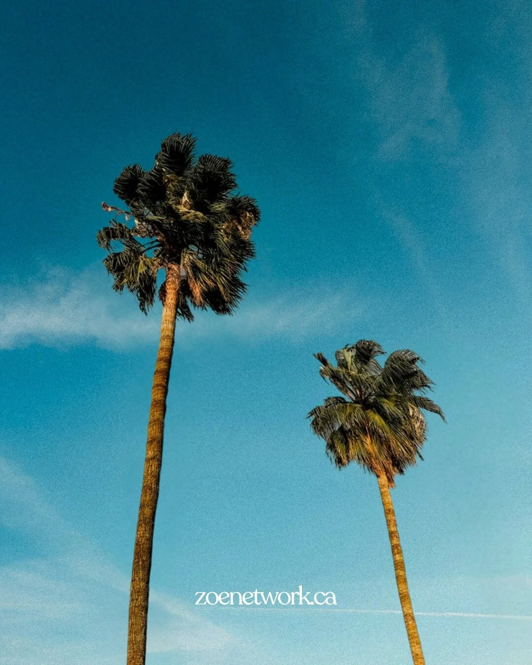 Did You Know?//ZOE NETWORK Discovery Trips

ZOE Network hosts short-term Discovery Trips that take people overseas to serve in our global projects!

We partner with local churches and bring teams with us to:
🔹 Engage in meaningful service
🔹 Support