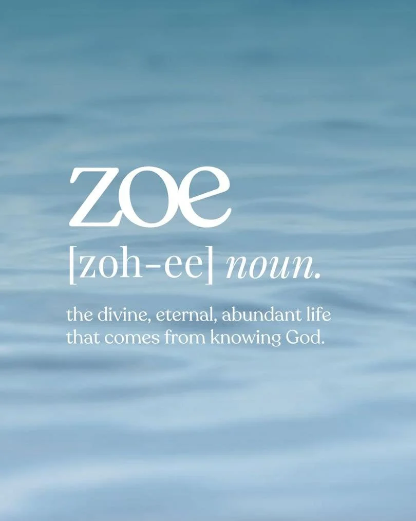 OUR WHY

God is at work in the world&mdash;and He invites us to join Him.

ZOE Network exists to help people discover the zoe life of John 10:10: real, abundant, God-breathed life that shapes how we live and how we serve.

We know many people hold ba