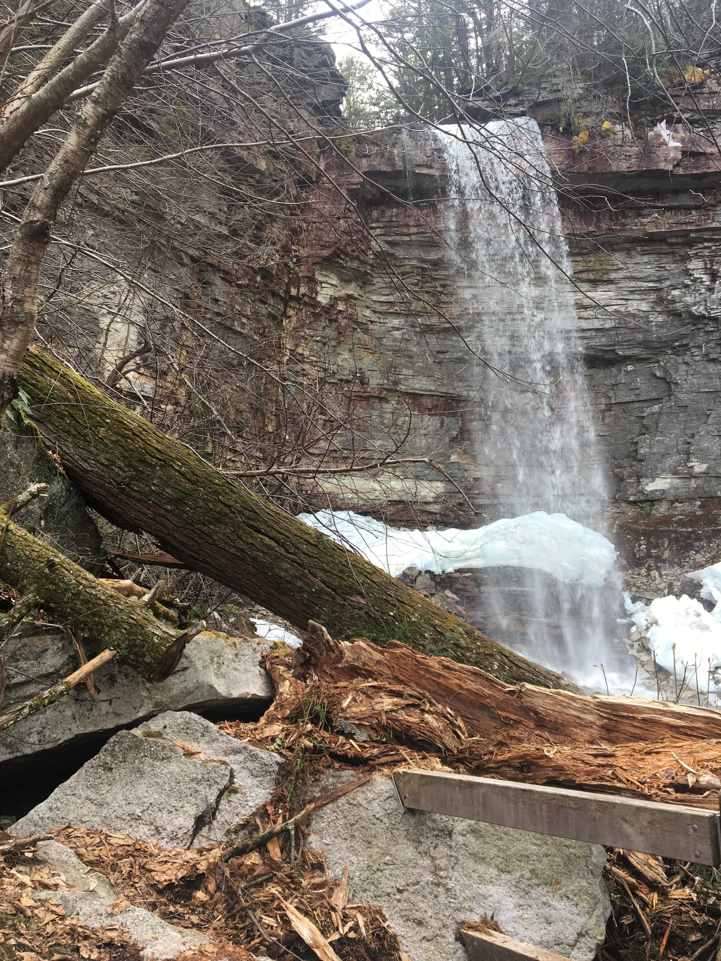 Clear the Year Virtual Retreat